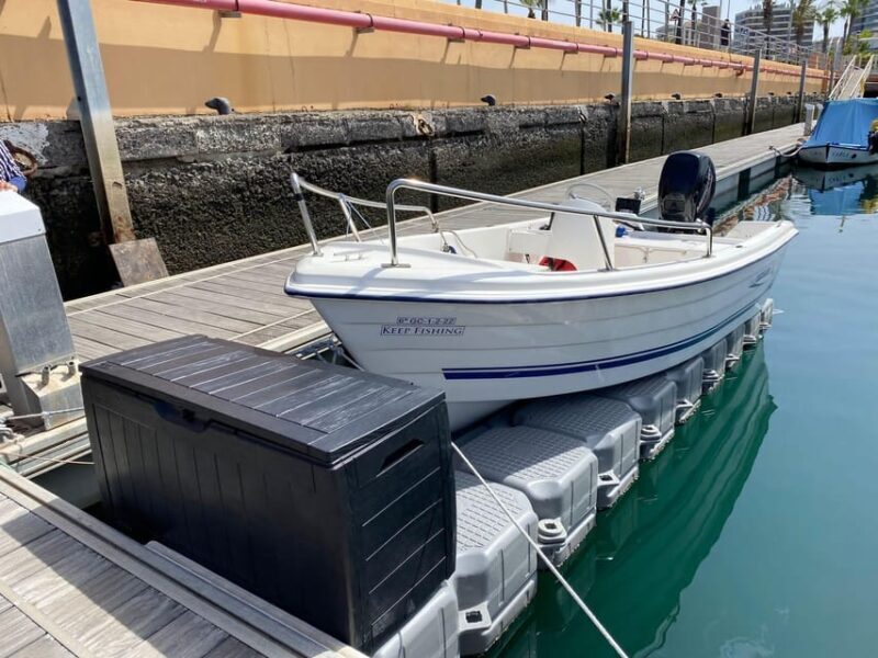 From las Palmas : Day sailing experience along the coast - Key Points