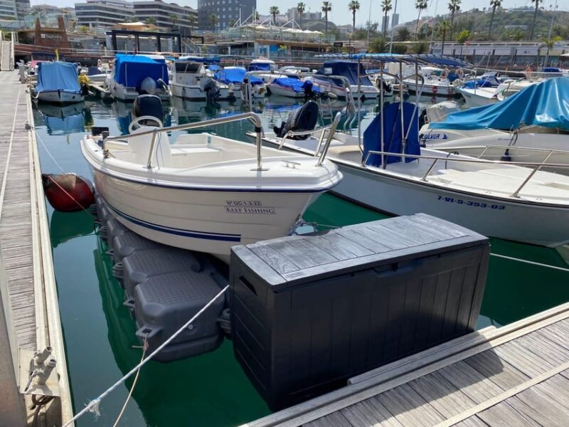 From las Palmas : Day sailing experience along the coast - An Honest Look at the Las Palmas Day Sailing Experience