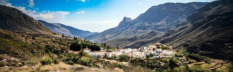 From Las Palmas: Fataga, Aloe Vera Farm, and Puerto de Mogán Market - An Honest Look at the Itinerary