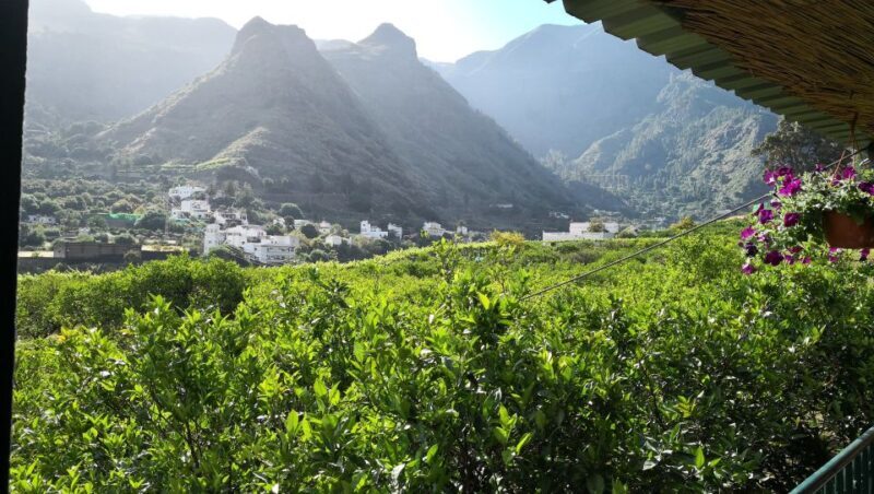 From Las Palmas: Full-Day Tour of the North - Authenticity and Highlights Based on Reviews