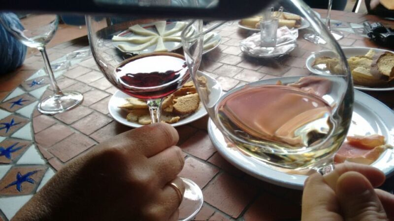 From Las Palmas: Full-Day Tour of the North - Considerations for Travelers