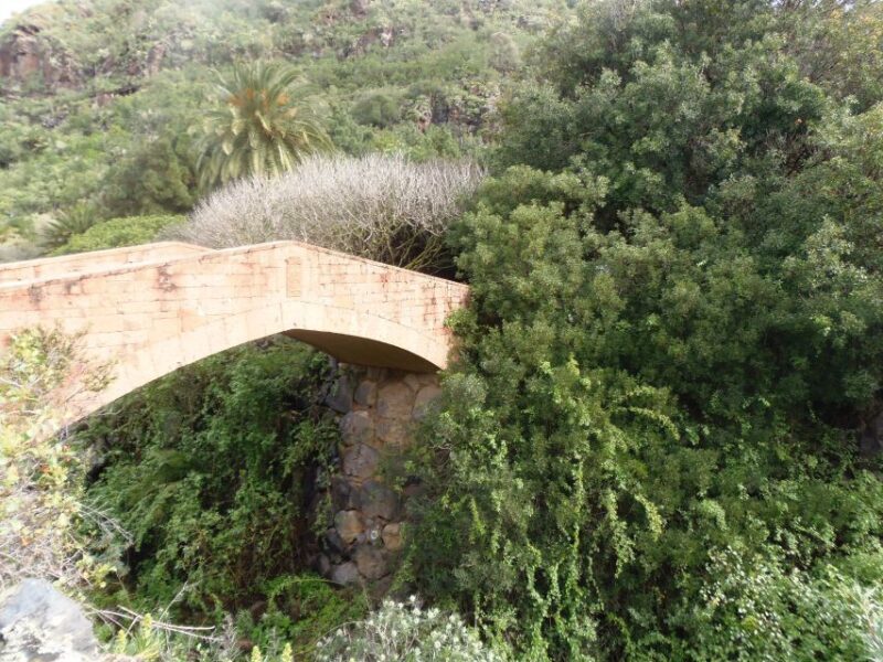 From Las Palmas: Full-Day Tour of the North - FAQ