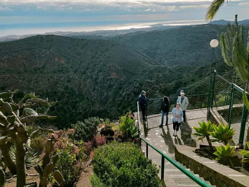 From Las Palmas: Half day tour Volcano Bandama & Vineyard - Key Points