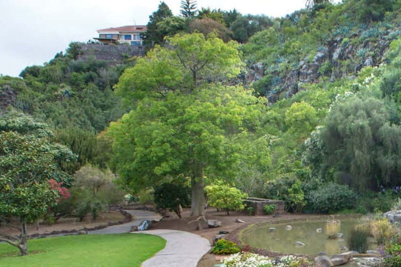 From Las Palmas: Half day tour Volcano Bandama & Vineyard - Exploring the Itinerary in Detail