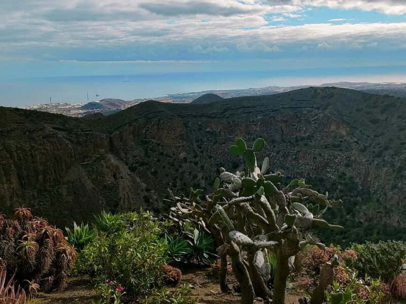 From Las Palmas: Half day tour Volcano Bandama & Vineyard - Practical Tips for Your Tour Experience