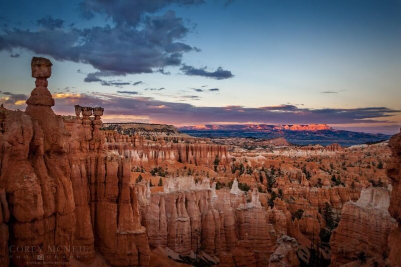 From Las Vegas: Bryce Canyon & Zion National Park Day Trip - An In-Depth Look at the Experience