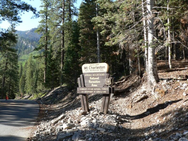 From Las Vegas: Day Trip to Mount Charleston Resort - A Closer Look at the Itinerary