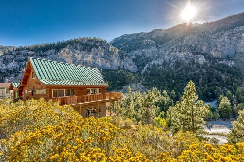 From Las Vegas: Day Trip to Mount Charleston Resort - Pricing and Value Analysis