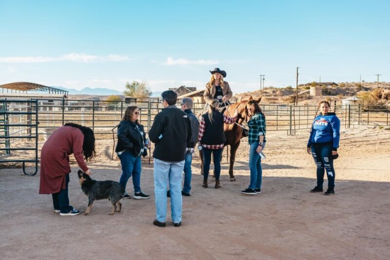 From Las Vegas: Desert Sunset Horseback Ride with BBQ Dinner - Authentic Reviews and Insider Tips