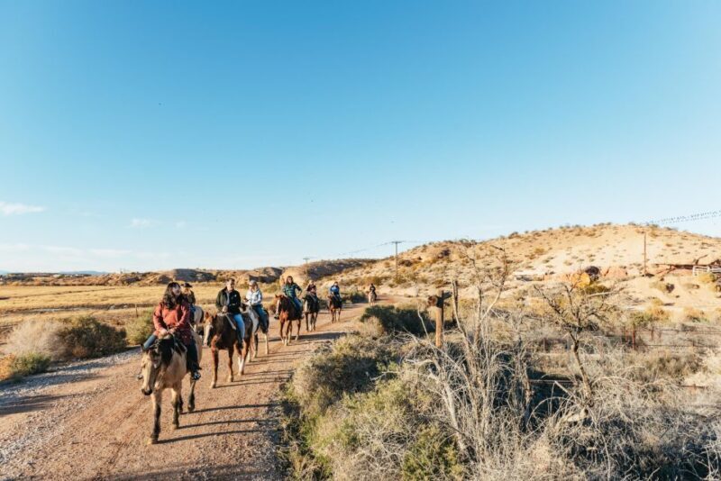 From Las Vegas: Desert Sunset Horseback Ride with BBQ Dinner - Who’s This Tour For?
