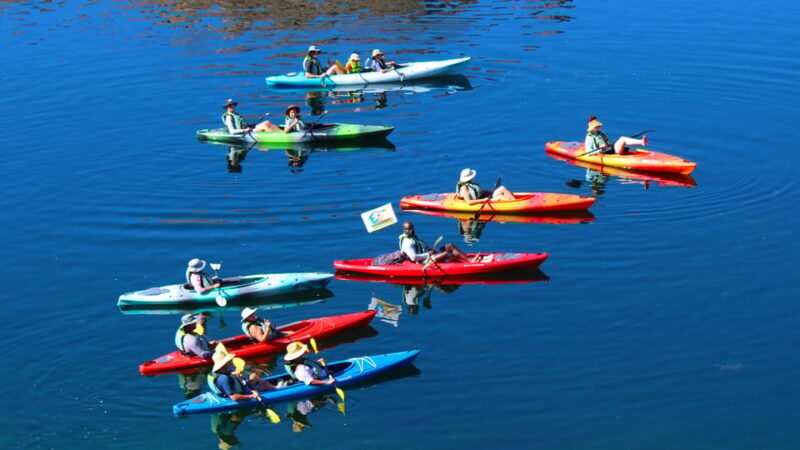 From Las Vegas: Emerald Cave Guided Kayak Tour - A Deep Dive into the Emerald Cave Kayaking Experience