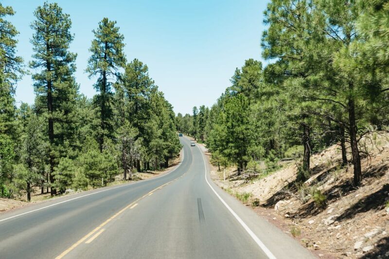 From Las Vegas: Grand Canyon South Rim Day Trip - Who Will Love This Tour?
