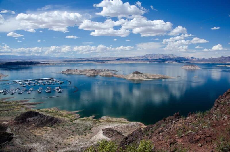 From Las Vegas: Lake Mead Wildlife & Seven Magic Mountains - Key Points
