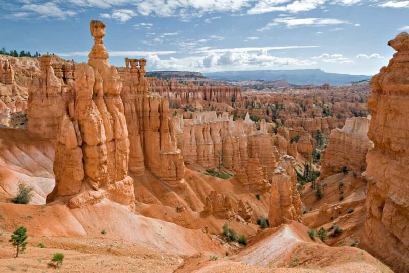 From Las Vegas: Private Bryce Canyon Hiking Tour - Key Points