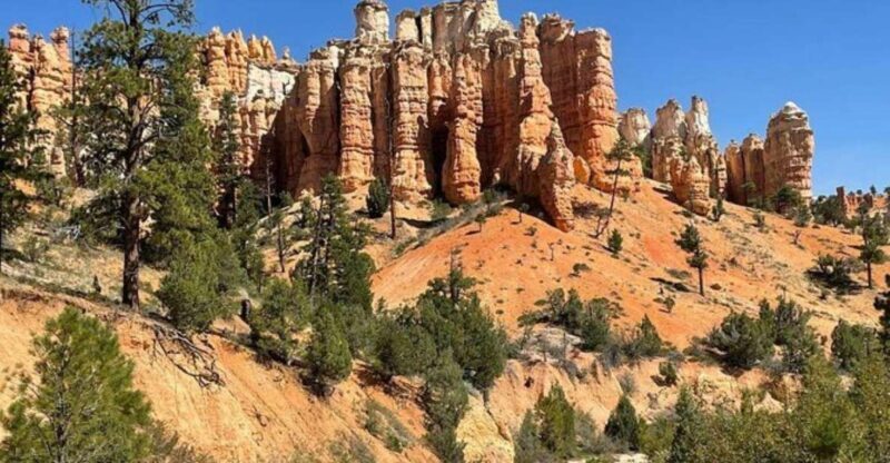 From Las Vegas: Private Tour to Zion National Park - The Itinerary in Detail