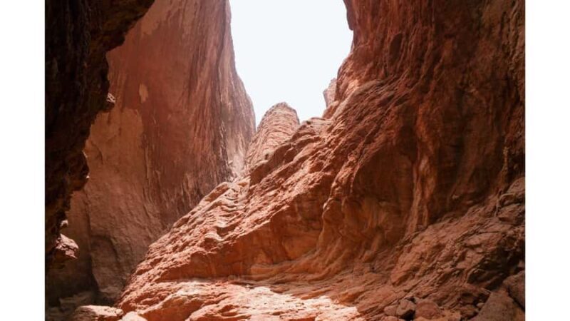 From Las Vegas: Red Rock Canyon Small Group Tour - An In-Depth Look at the Red Rock Canyon Small Group Tour