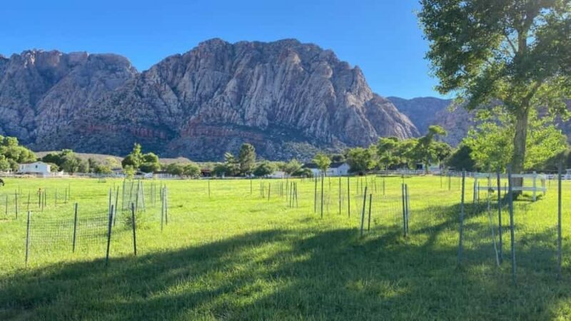 From Las Vegas: Spring Mountain Ranch Hike and House Visit - Key Points