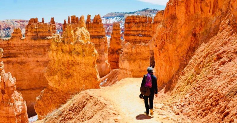 From Las Vegas: Zion and Bryce Canyon Day Trip with Pickup - Key Points