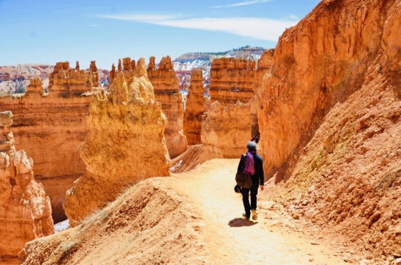 From Las Vegas: Zion and Bryce Canyon Day Trip with Pickup - An In-Depth Look at the Zion and Bryce Canyon Day Trip
