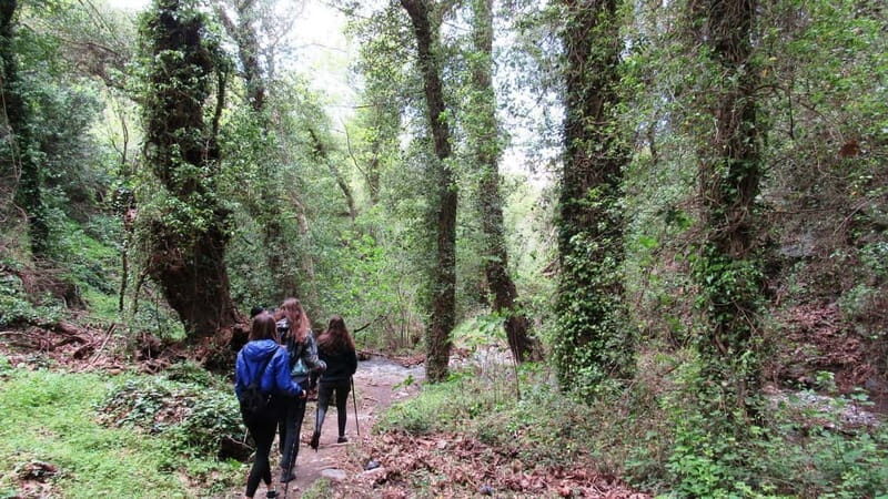 From Lasithi: Richtis Gorge - What to Expect on the Day