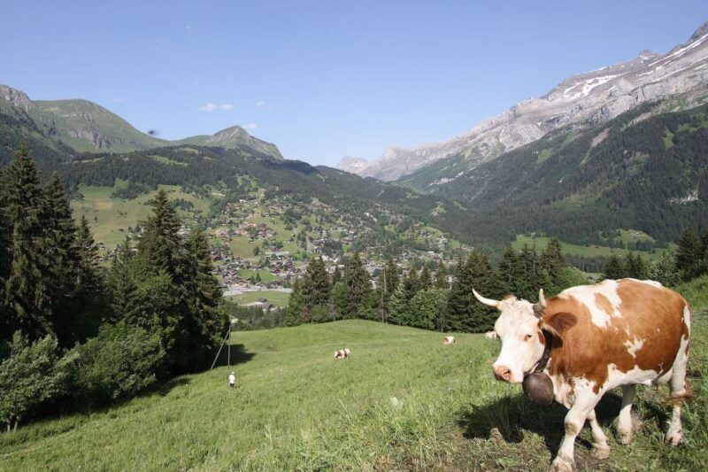 From Lausanne: Glacier 3000 experience and Montreux - Final Thoughts