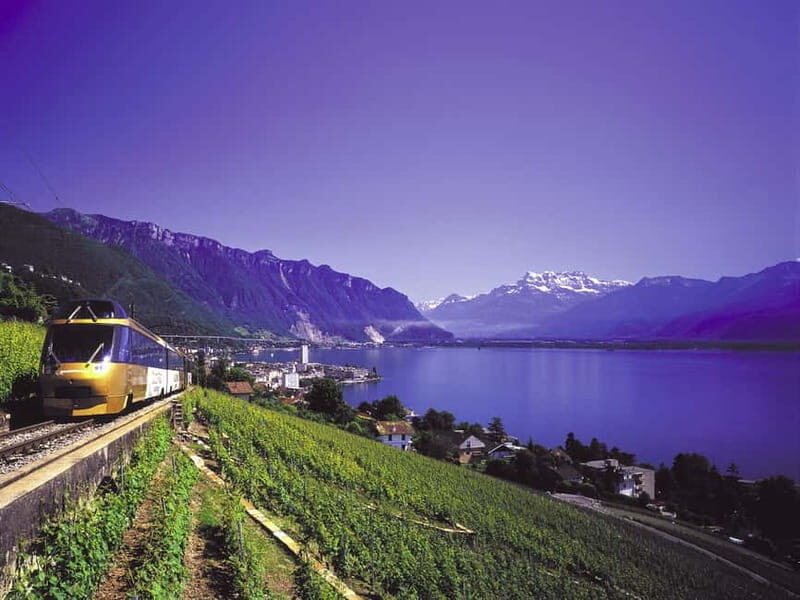 From Lausanne: Gruyères Tour with Train, Chocolate & Cheese - A Deep Dive into the Experience