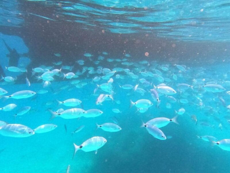 From Lefkimmi: Boat Trip to Sivota & Blue Lagoon - FAQ