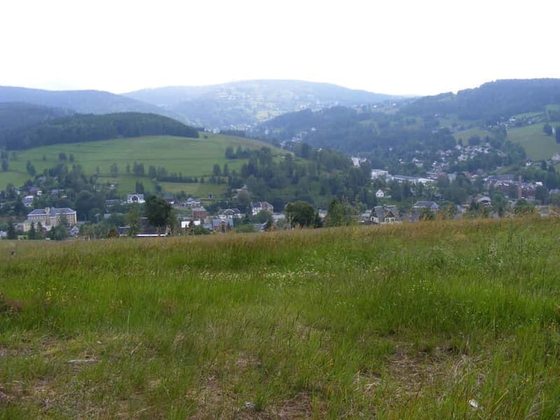 From Leipzig: Vogtland Music Day Trip - An In-Depth Look at the Vogtland Music Day Trip from Leipzig