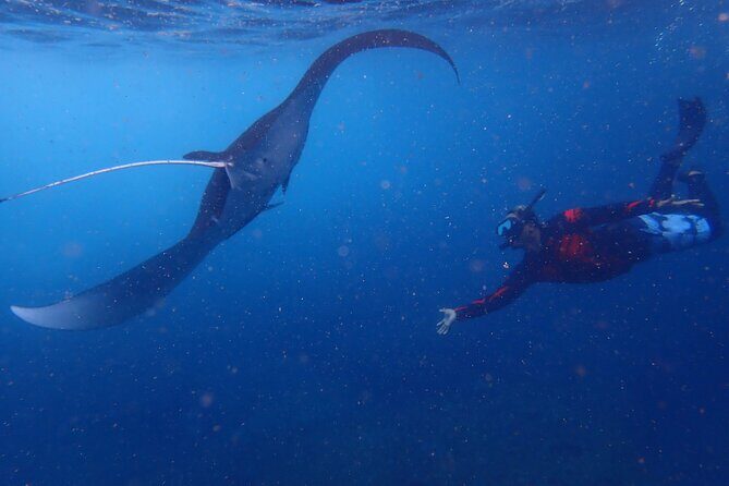 From Lembongan: Snorkeling Day Trip to Nusa Lembongan & nusa Penida island - The Itinerary Breakdown