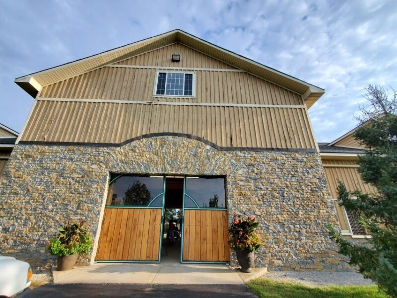 From Lexington: Kentucky Horse Farms Tour - Practical Details: What You Need to Know