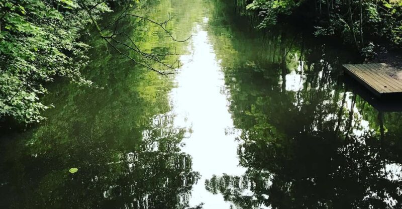 From Lilienthal: Full-Day Canoe Rental that Ends in Bremen - Key Points