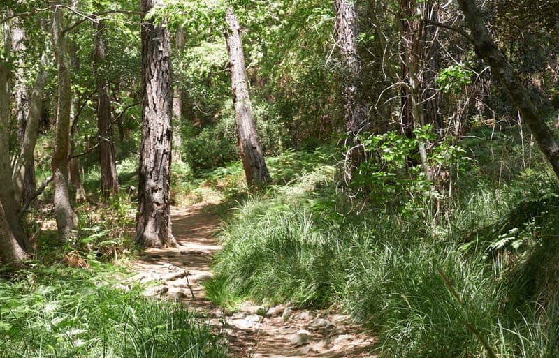 From Limassol: Grand Tour Jeep Safari - A Comprehensive Look at the Itinerary and What to Expect