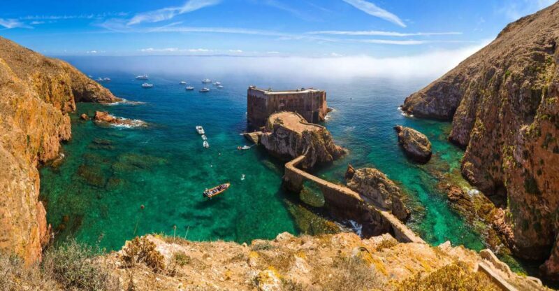 From Lisbon: Berlenga Grande Island Private Tour - Practical Details That Matter