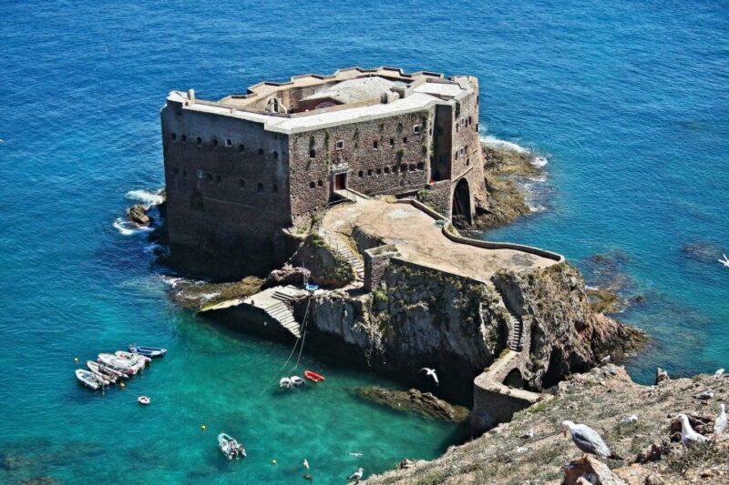From Lisbon: Berlenga Grande Island Private Tour - FAQs