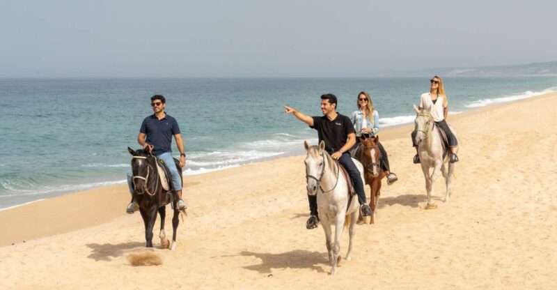 From Lisbon: Comporta and Setúbal Trip with Horseback Riding - What’s Included and What’s Not