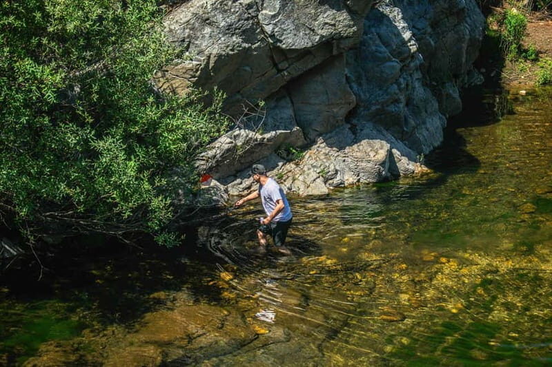 From Lisbon: Discover the Heart of Portugal Tour - An In-Depth Look at the "Discover the Heart of Portugal" Tour