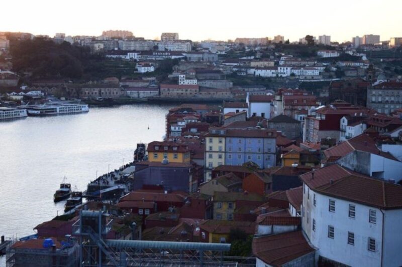 From Lisbon: Douro Valley and Porto Town Experience - A Comprehensive Look at the Experience