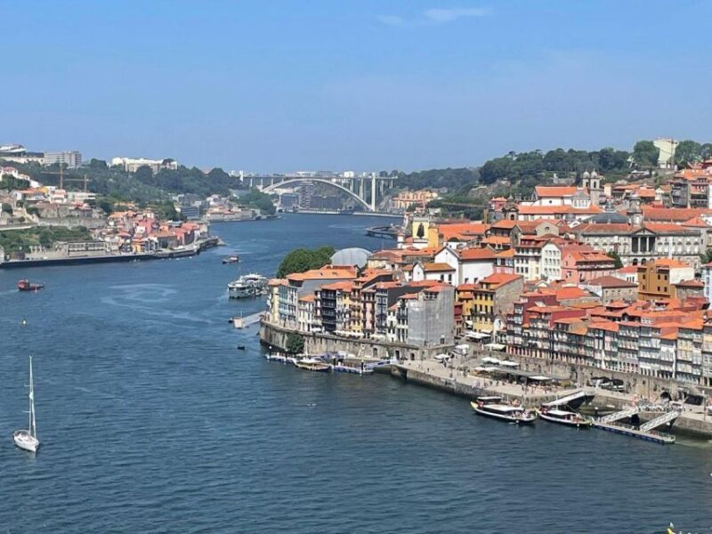 From Lisbon: Douro Valley and Porto Town Experience - Final Thoughts