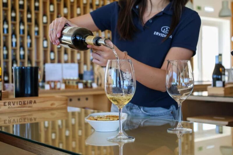 From Lisbon: Évora, Chapel of Bones & Alentejo Wine Tour - A Detailed Look at the Évora, Chapel of Bones & Alentejo Wine Tour