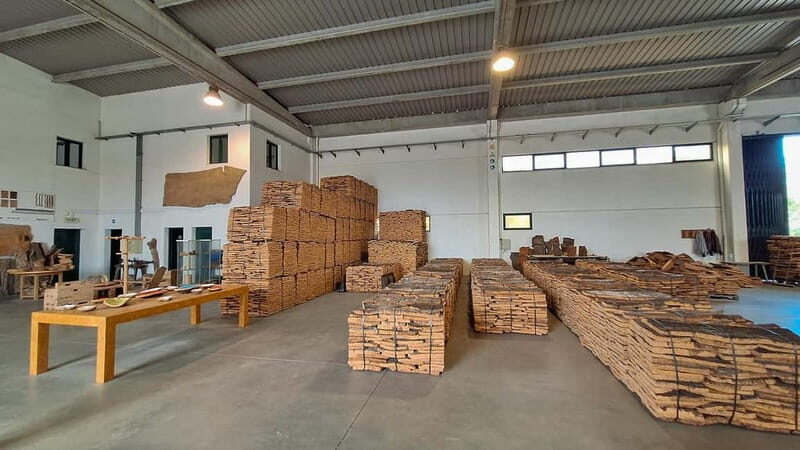 From Lisbon: Évora, Cork & the Hidden Old Town - A Deep Dive into the Évora, Cork & Hidden Old Town Tour