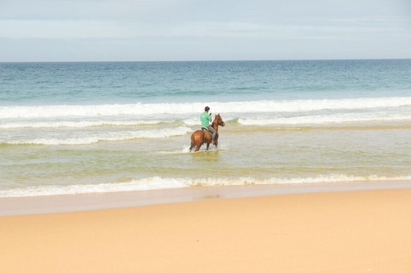 From Lisbon: Horseback Riding on Comporta Beach - Key Points