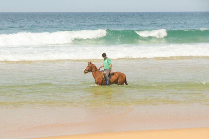 From Lisbon: Horseback Riding on Comporta Beach - Exploring the Details of the Experience