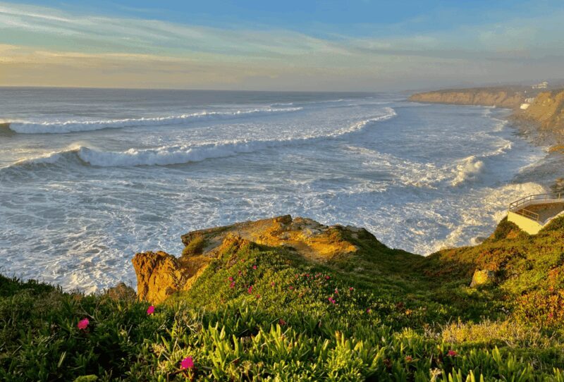 From Lisbon: Mafra Palace and Ericeira - Heritage and the Portuguese Coast - Who Will Love This Tour?