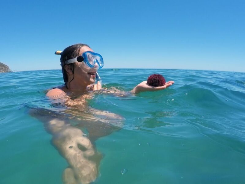 From Lisbon: Nature Park of Arrábida Paddleboarding - Key Points