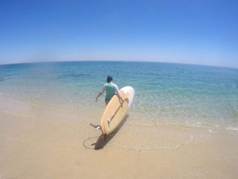 From Lisbon: Nature Park of Arrábida Paddleboarding - Authentic Reviews and Insights