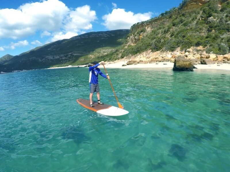 From Lisbon: Nature Park of Arrábida Paddleboarding - The Sum Up