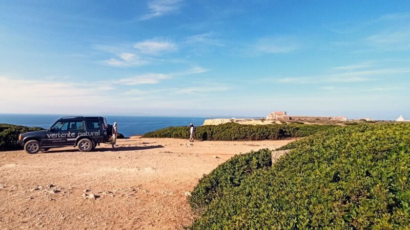 From Lisbon or Sesimbra: 4x4 Tour to Cape Espichel - Authentic Insights from Past Travelers