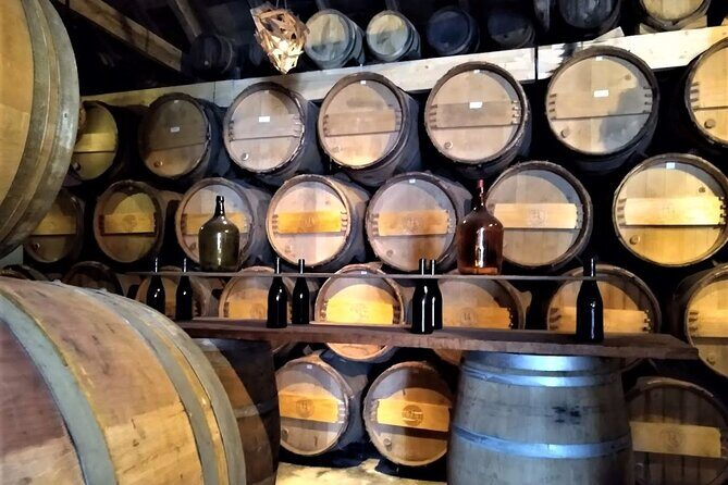 From Lisbon: Palmela-Setúbal Wine Tasting Tour (40kms of Lisbon) - Key Points