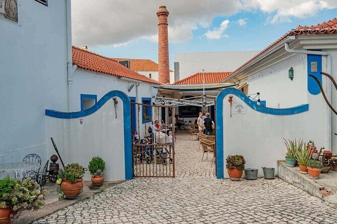 From Lisbon: Palmela-Setúbal Wine Tasting Tour (40kms of Lisbon) - Practical Tips for Your Trip