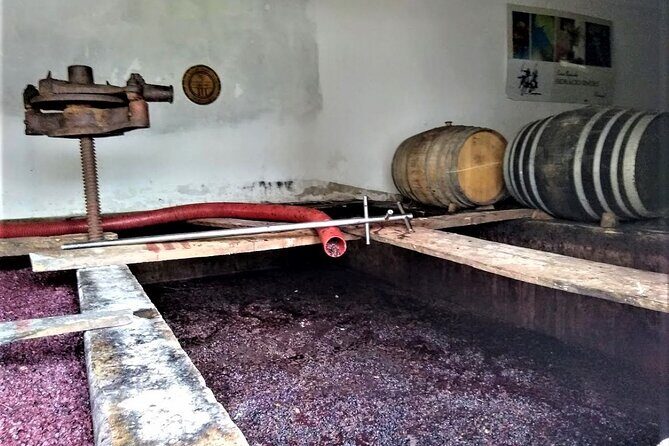 From Lisbon: Palmela-Setúbal Wine Tasting Tour (40kms of Lisbon) - Final Thoughts